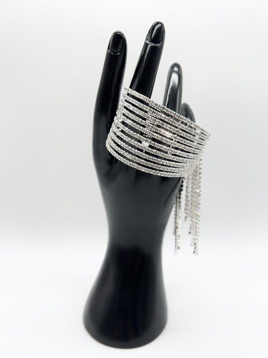 BS121 FRINGE